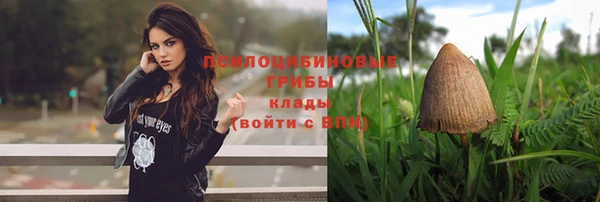 ГАЛЛЮЦИНОГЕННЫЕ ГРИБЫ Арсеньев