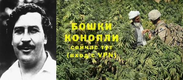 ГАЛЛЮЦИНОГЕННЫЕ ГРИБЫ Арсеньев