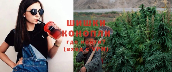 ГАЛЛЮЦИНОГЕННЫЕ ГРИБЫ Арсеньев