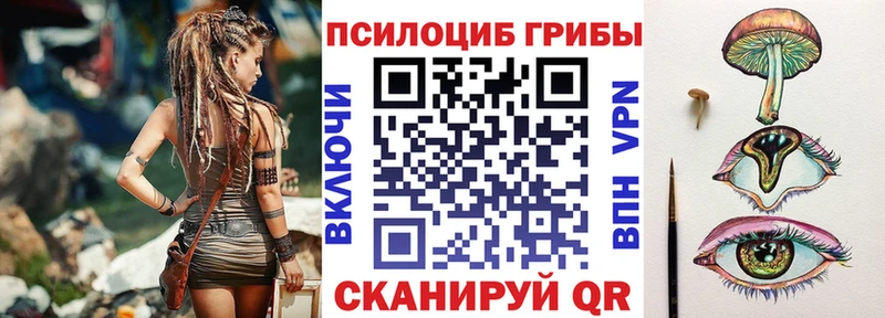 как найти   Полярные Зори  Галлюциногенные грибы Cubensis 
